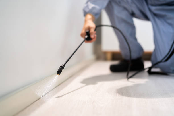 Rodent Entry Point Assessment in Orangeville