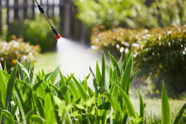 Tamper-Resistant Bait Stations for Rodents in Orangeville