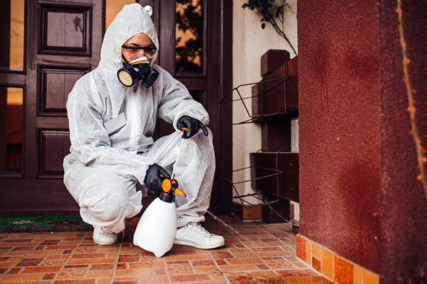 Attic and Crawl Space Rodent Treatment in Orangeville