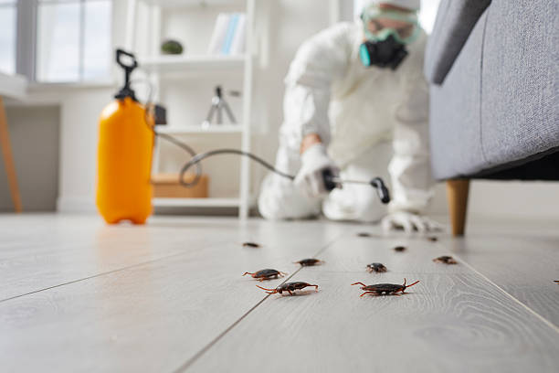 Commercial Rodent Management in Orangeville
